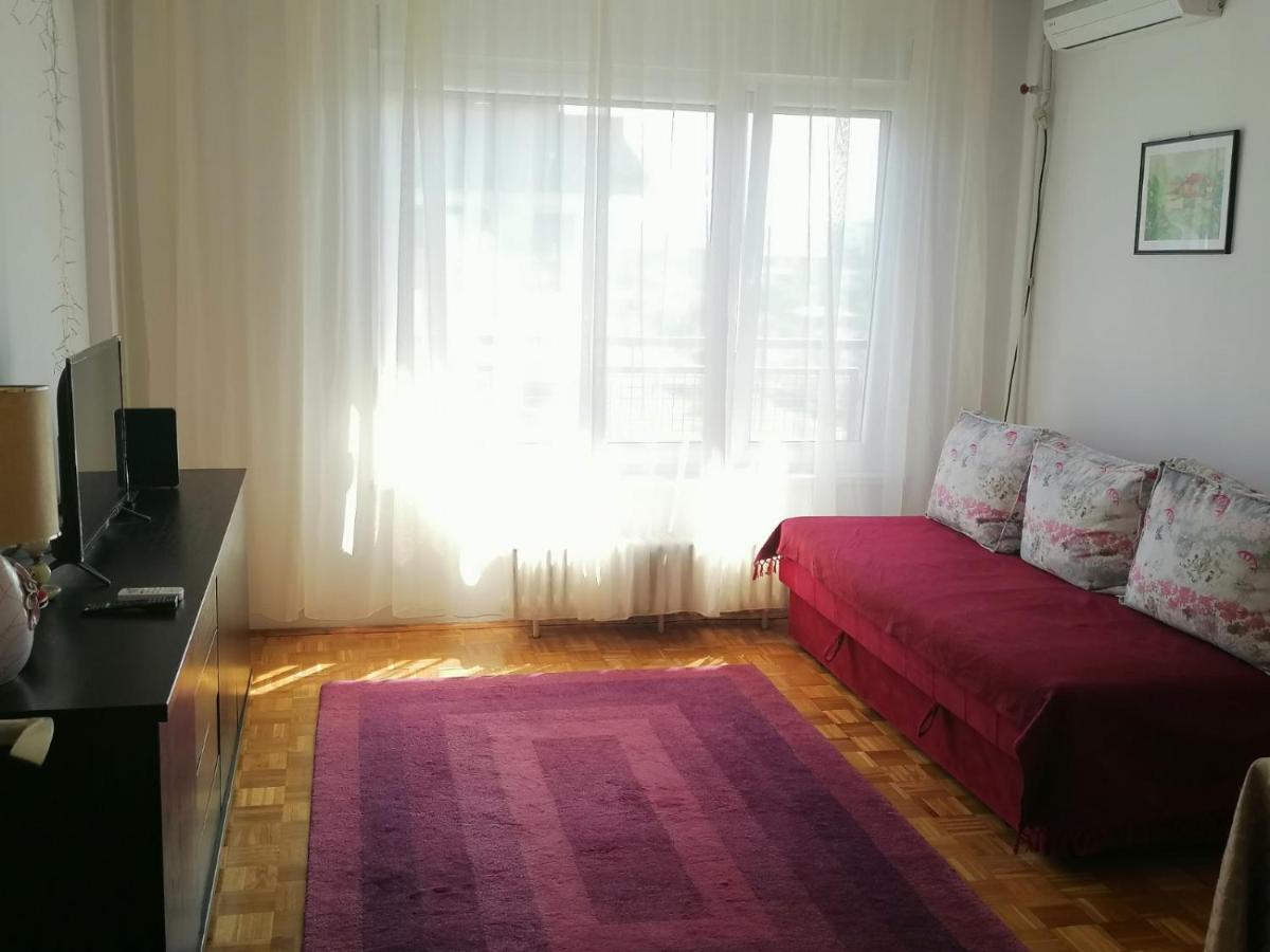 Danube Apartment Belgrado Esterno foto